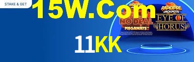 Premium Interface 11KK